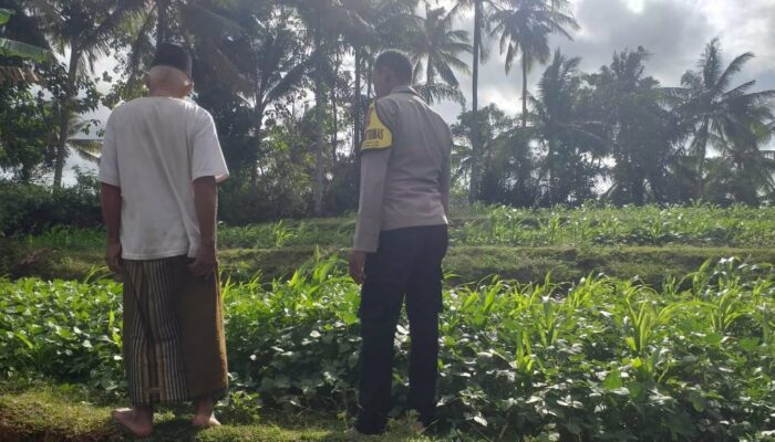 Lahan Pekarangan Dusun Pelan Disulap Jadi Sumber Pangan