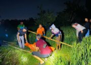 Mayat Lansia Ditemukan di Sawah Bangket Dalam Muhajirin, Polisi Pastikan Tidak Ada Tanda Kekerasan