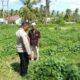 Kunjungi Petani di Sekotong, Polri Tekankan Pemanfaatan Lahan Demi Kedaulatan Pangan