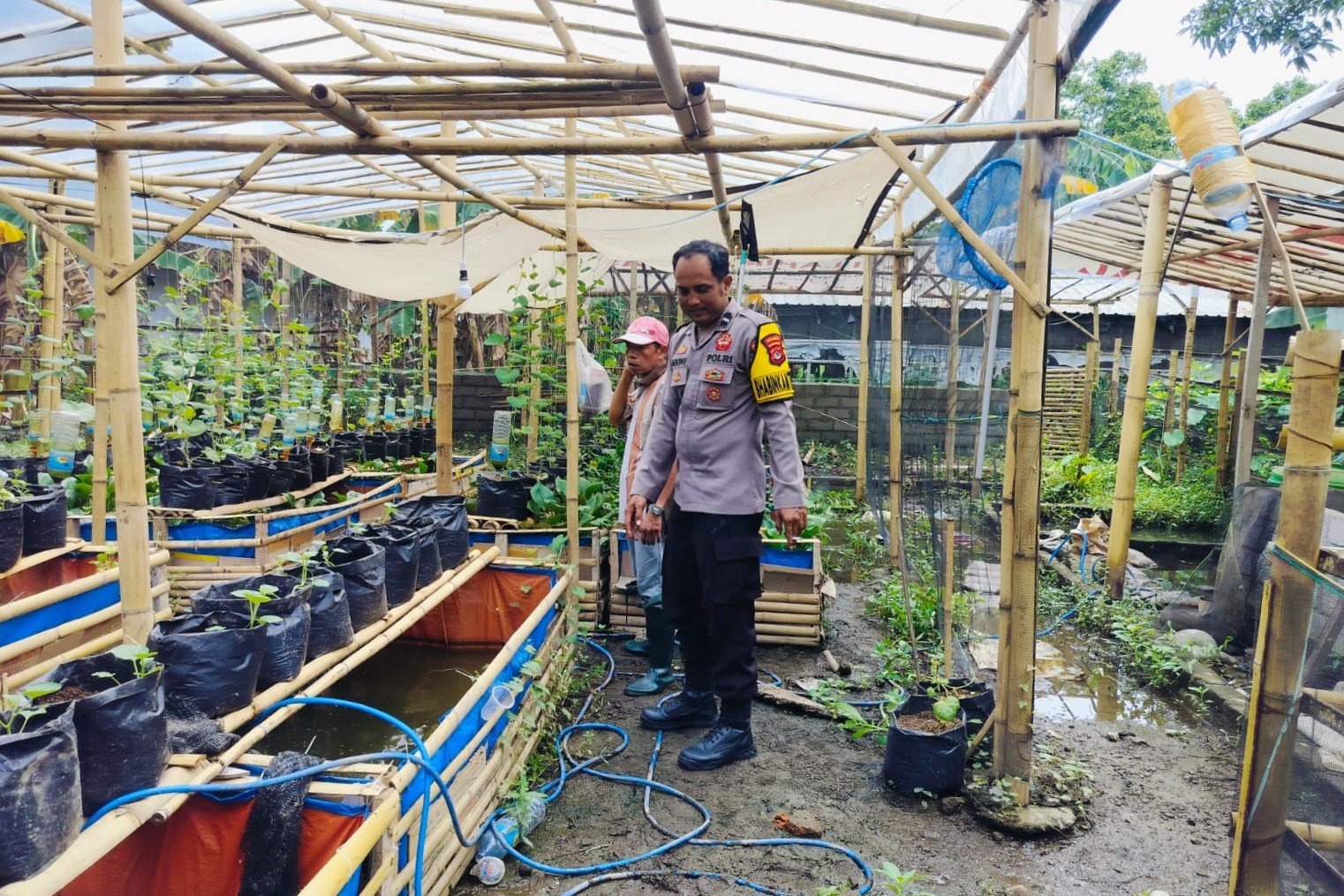 Bhabinkamtibmas Ajak Warga Dusun Tempit Tanam Sayur di Pekarangan Rumah