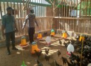 Dari Jagaraga untuk NTB: Polri dan Warga Bangun Kemandirian Pangan