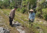 Ketahanan Pangan Warga Desa Kuranji Dikuatkan Lewat Pemanfaatan Lahan Pekarangan