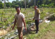 Polsek Sekotong Perkuat Hubungan dengan Petani Lewat Program Sambang Desa