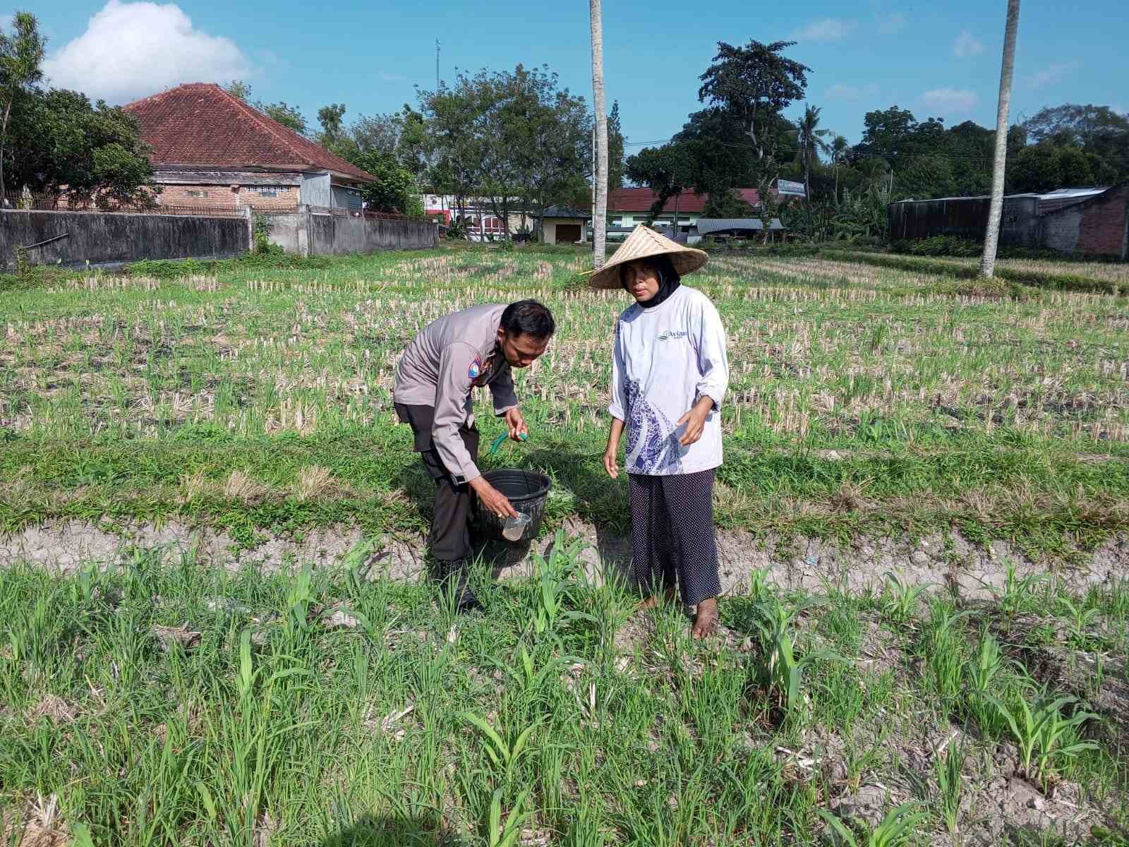 Polsek Kuripan Galakkan Pertanian Pekarangan Demi Kesejahteraan Warga