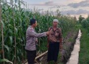 Sinergi Polisi dan Petani di Desa Babussalam untuk Wujudkan Ketahanan Pangan