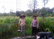 Dukungan Polri di Lombok Barat Perkuat Ketahanan Pangan Desa Jagaraga