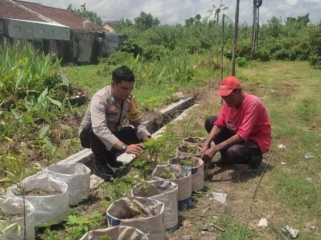 Sinergi Polsek Labuapi dan Warga Mapak Reong Dorong Pemanfaatan Pekarangan Produktif