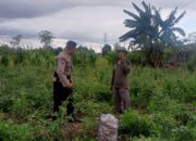 Bhabinkamtibmas Terong Tawah Dorong Pemanfaatan Pekarangan untuk Ketahanan Pangan