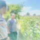 Polri Hadir untuk Pangan: Petani Desa Labuapi Didukung Tanam Jagung di Lahan Kosong