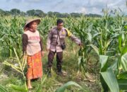 Polsek Labuapi Bangun Kesadaran Pangan Mandiri di Karang Kebon
