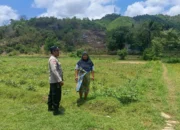 Bhabinkamtibmas Jadi Motor Ketahanan Pangan di Sekotong Barat
