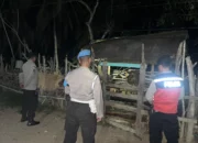 Cegah 3C, Polsek Sekotong Sisir Kandang Ternak di Tengah Malam