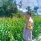 Kehadiran Polisi di Ladang Jagung, Bukti Sinergi Polri dan Petani di Lombok Barat