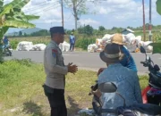 Sinergi Polisi dan Petani di Lombok Barat, Hasilkan Panen Jagung Melimpah