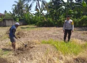 Sinergi Polri dan Petani di Lombok Barat, Wujud Nyata Kemandirian Pangan