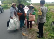 Peran Polisi di Balik Panen Jagung Sukses Petani Lombok Barat