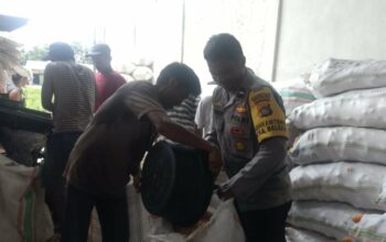 Jaga Kualitas, Polri Bantu Petani Lombok Barat Pipil Jagung