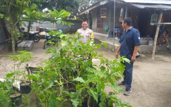 Cegah Kerawanan Pangan, Bhabinkamtibmas Kuripan Gagas ‘Lumbung Hidup’ Warga