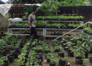 Warga Bengkel Sulap Pekarangan Jadi Lahan Produktif